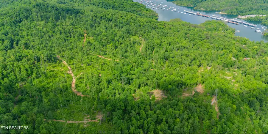 Lake Lane, New Tazewell, TN 37825 - #2
