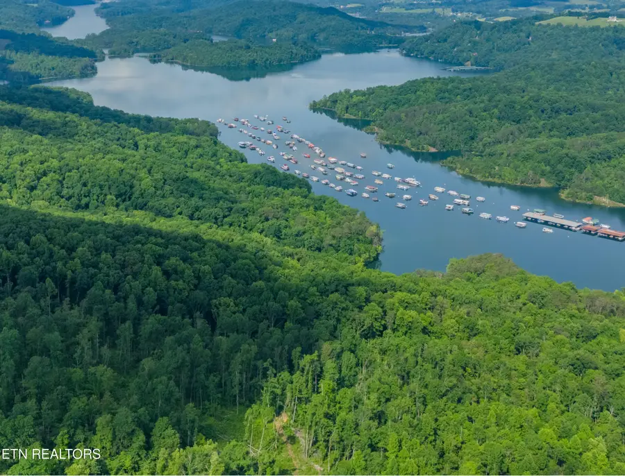 Lake Lane Lot 17, New Tazewell, TN 37825 - #3