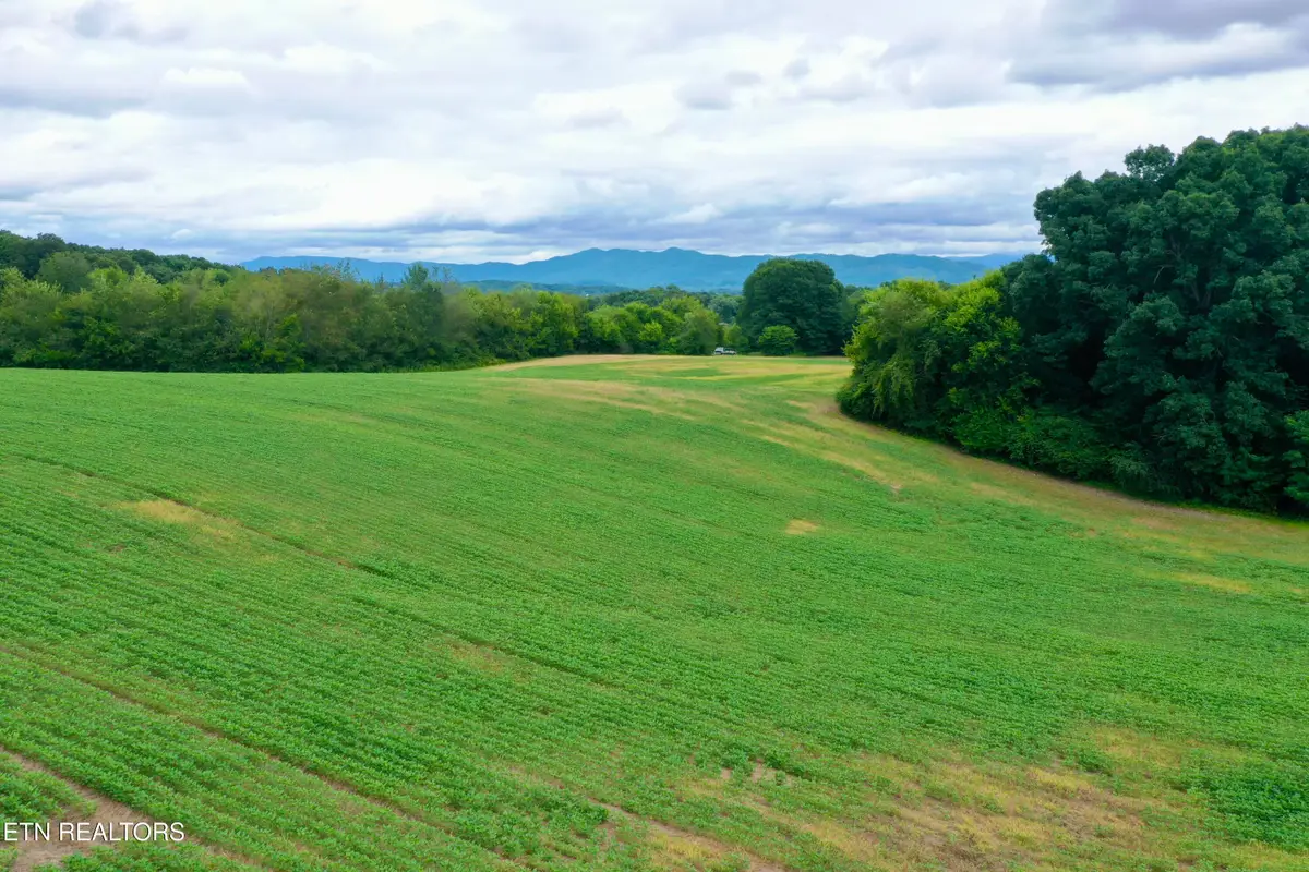 141 Saratoga Drive, Maryville, TN 37804 - #1