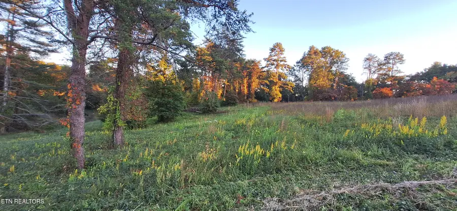 #3