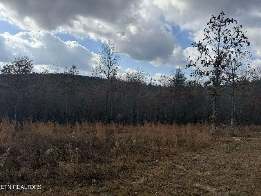 6.25 Acres Valerie Drive, Deer Lodge, TN 37726 - Image #3