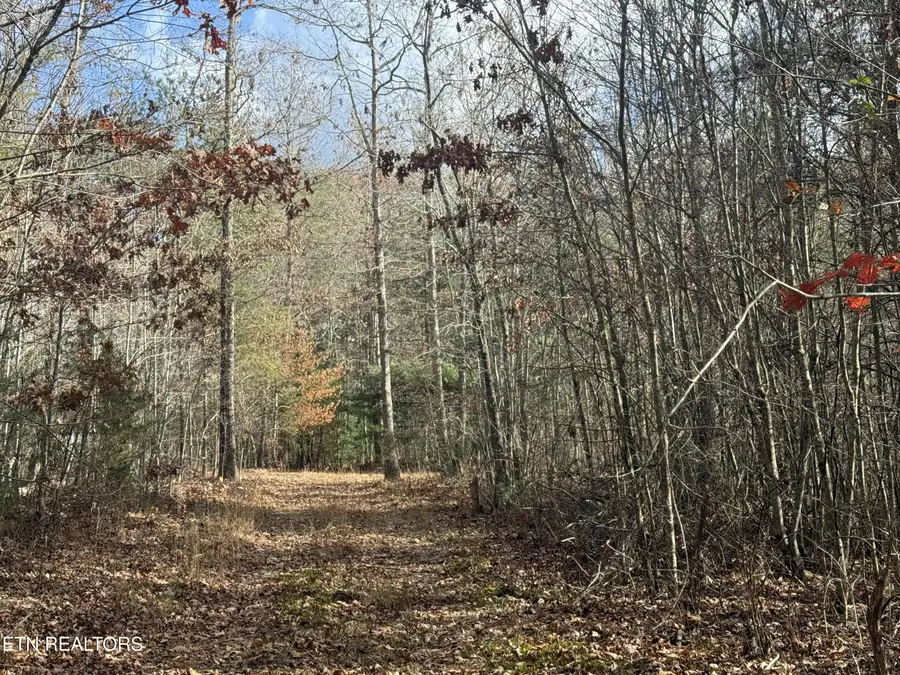 10.77 Acres - Valerie Drive, Deer Lodge, TN 37726 - Image #3