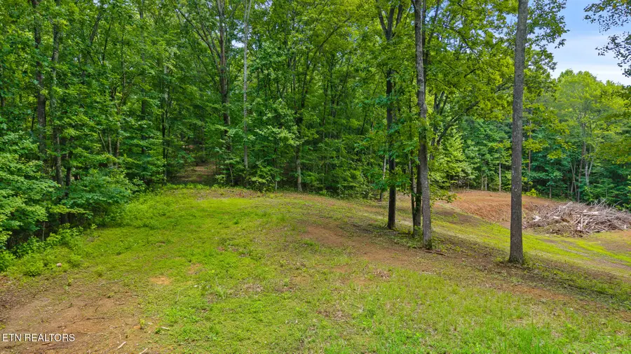236 Branham Lane, Ten Mile, TN 37880 - Image #2