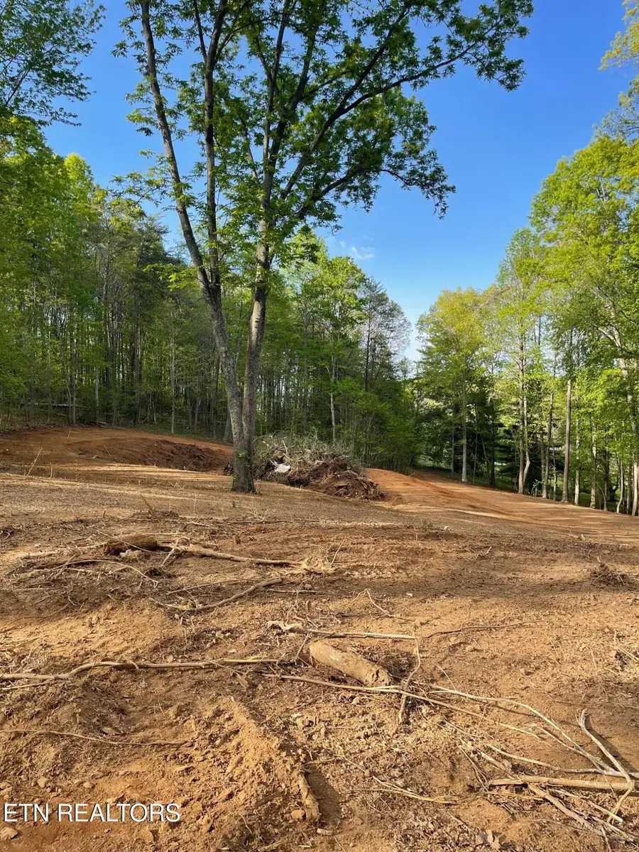 236 Branham Lane, Ten Mile, TN 37880 - Image #3