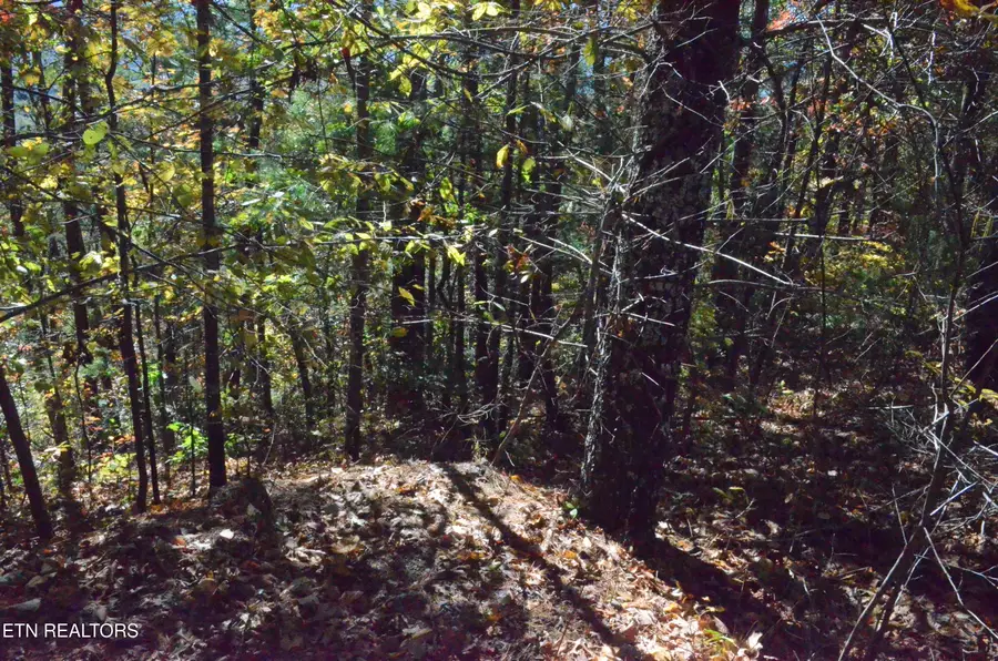 #3