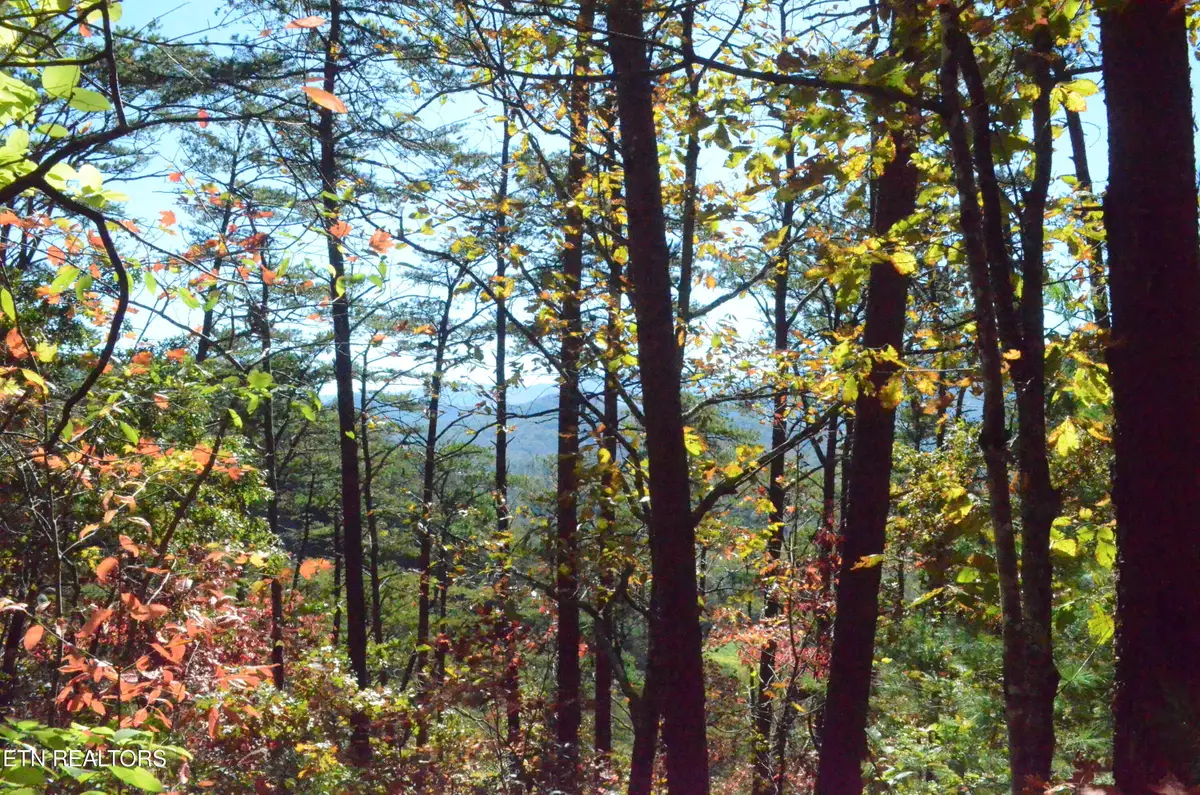 Lot 28R Mountain Retreat Rd, Townsend, TN 37882 - Image #1