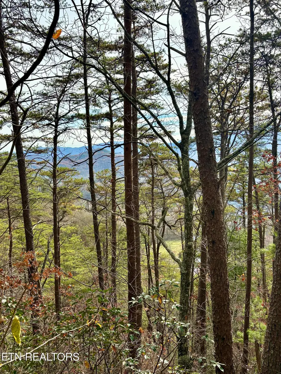 Lot 28R Mountain Retreat Rd, Townsend, TN 37882 - Image #2