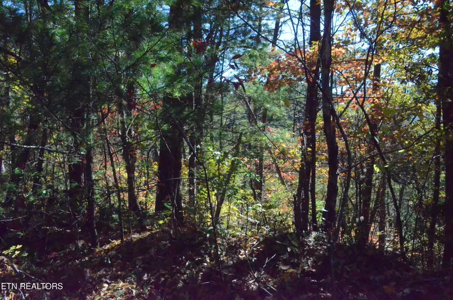 Lot 28R Mountain Retreat Rd, Townsend, TN 37882 - Image #3