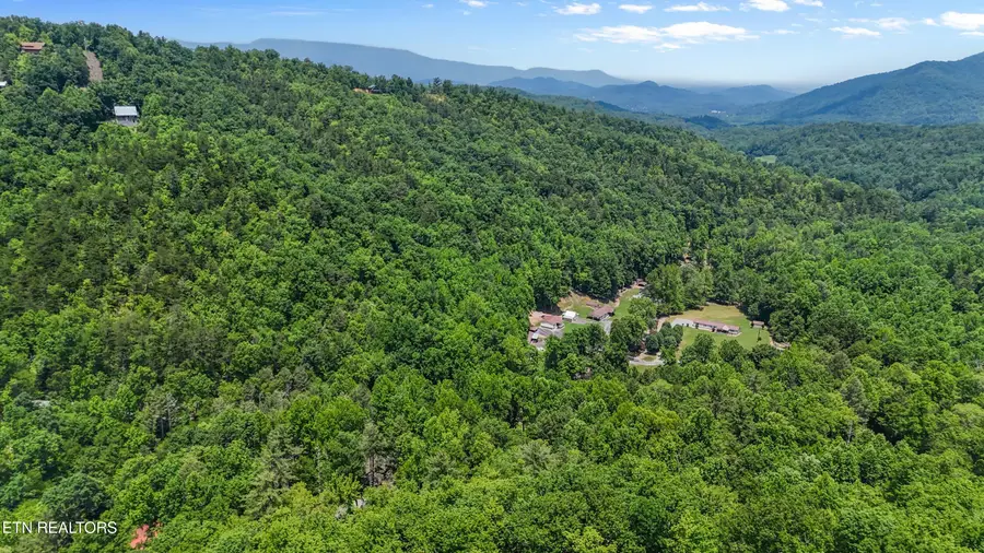 4539 Houge Way, Cosby, TN 37722 - Image #3