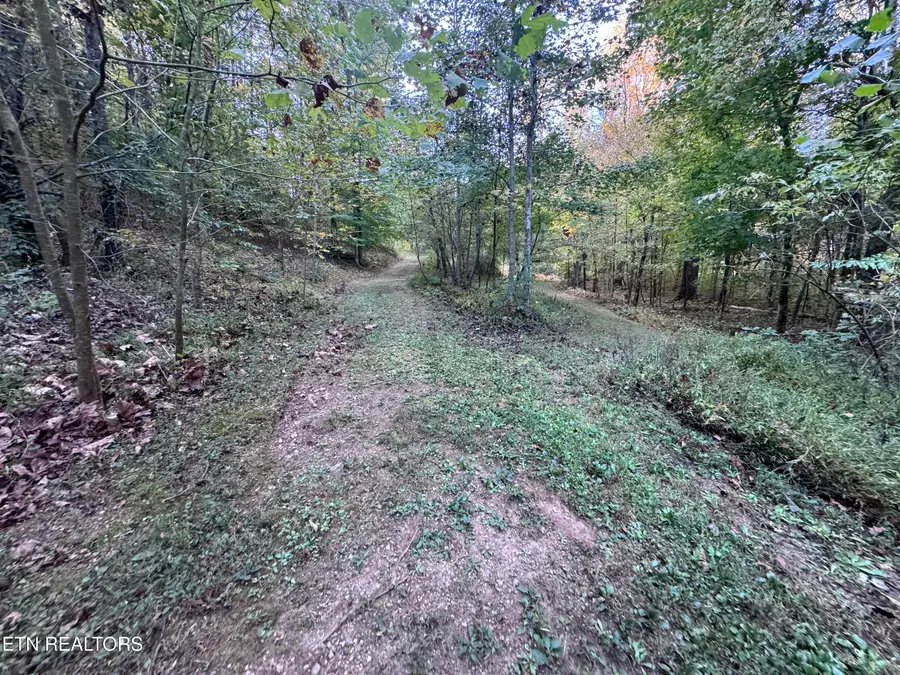 000 Geren Subdivision Lane, Decatur, TN 37322 - Image #3