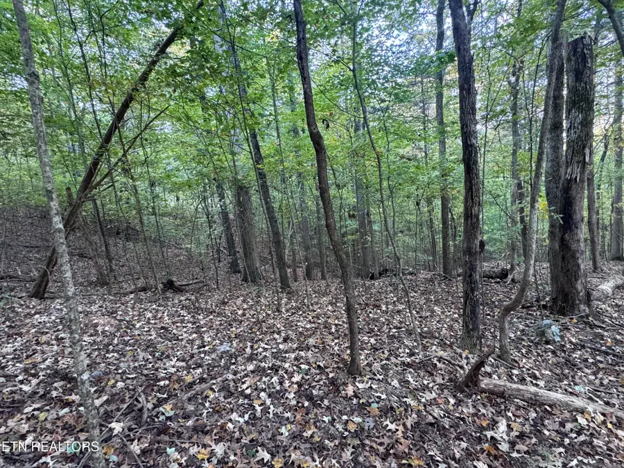 00 Geren Subdivision Lane, Decatur, TN 37322 - Image #2