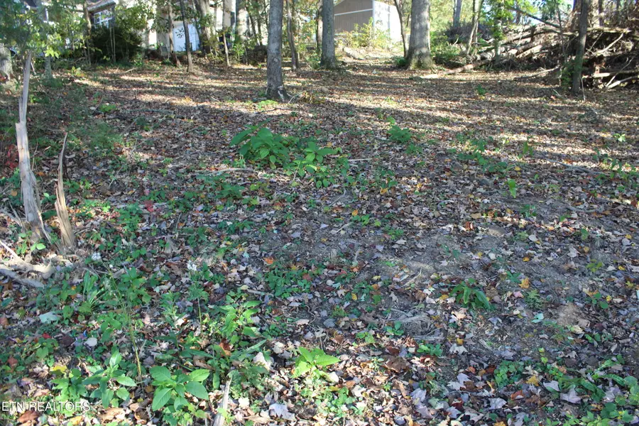 Abby Lane, Jacksboro, TN 37757 - Image #3