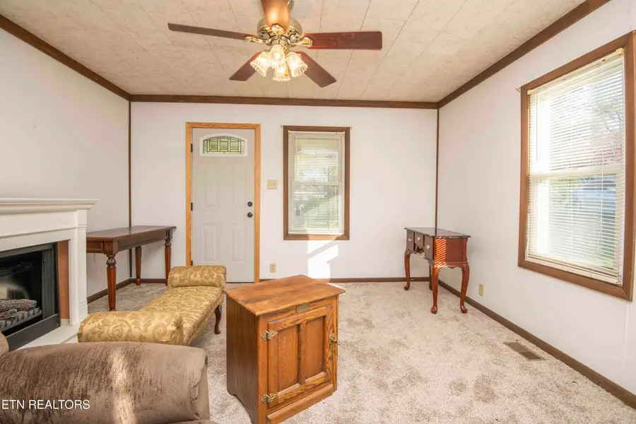 9316 Tipple Lane, Mascot, TN 37806 - Image #3