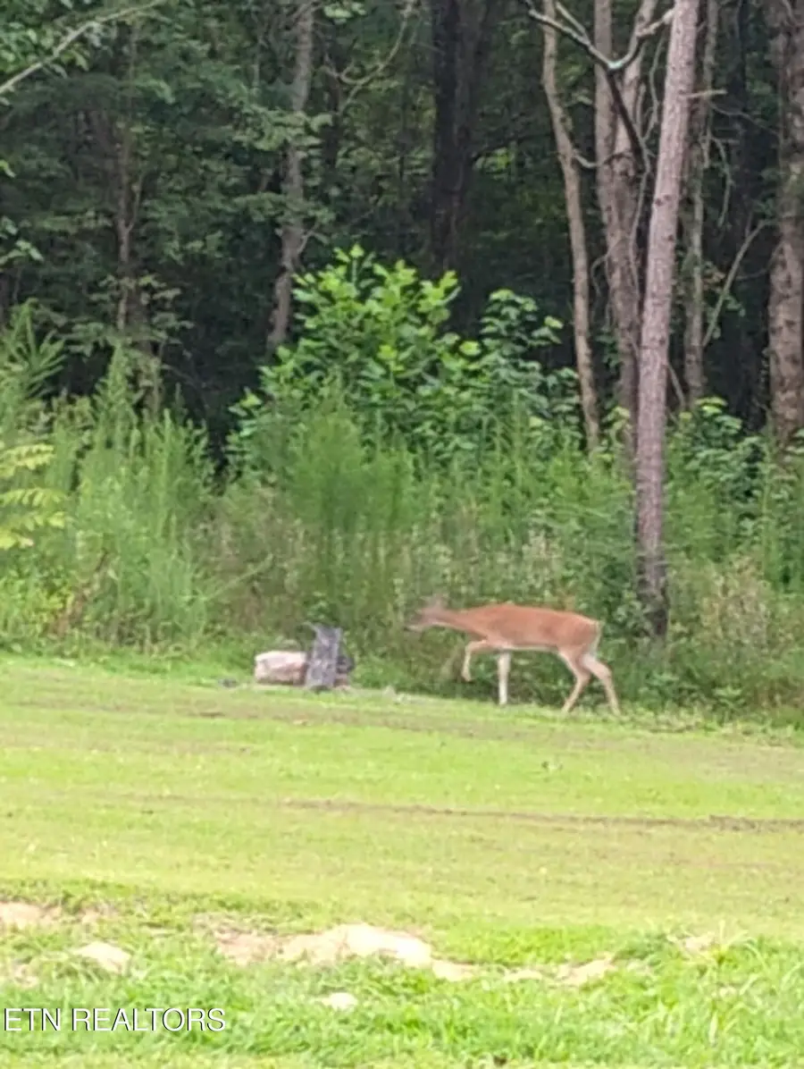 1391 County Road 609, Etowah, TN 37331 - Image #2