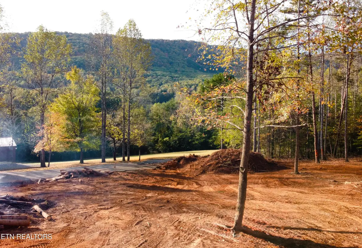 Lot 4 Peachie Way, Cosby, TN 37722 - Image #1