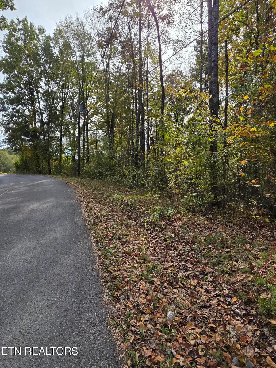 2310 Roseberry Rd, Mascot, TN 37806 - Image #2