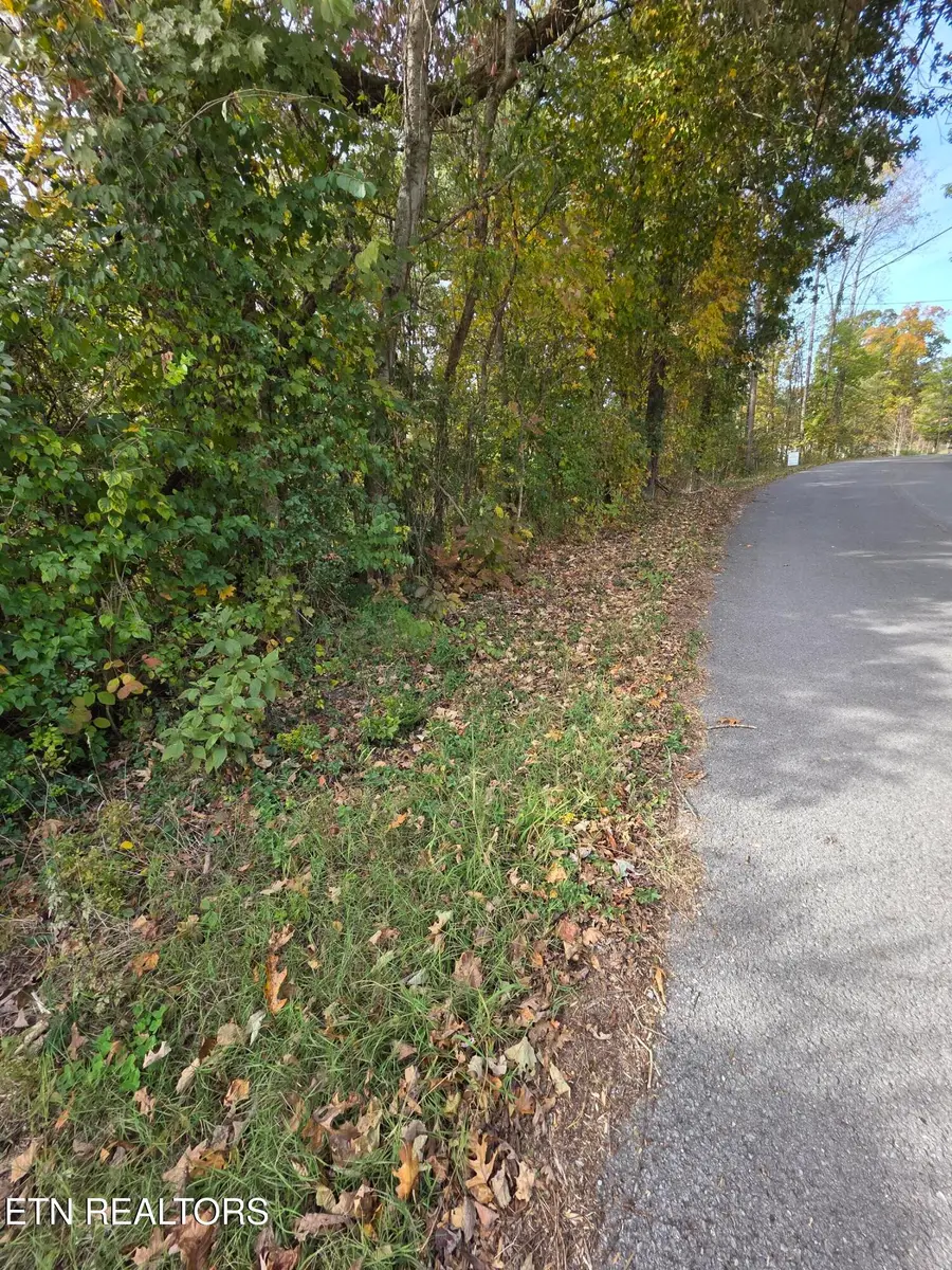 2310 Roseberry Rd, Mascot, TN 37806 - Image #3