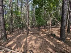 4.99 acres Juniper Court, Spring City, TN 37381 - Image #3