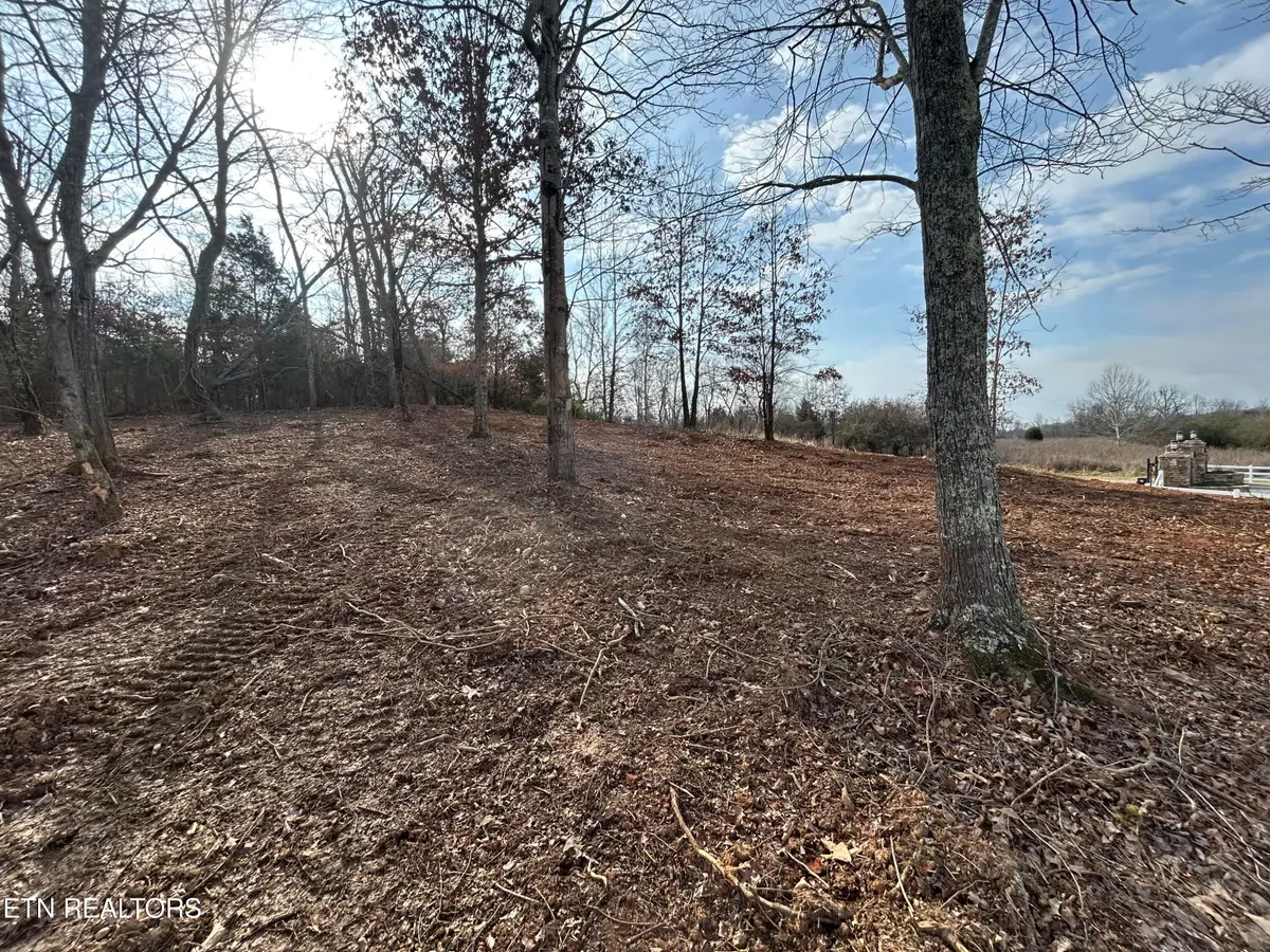 Lot 232 Star Lane, Rockwood, TN 37854 - #1