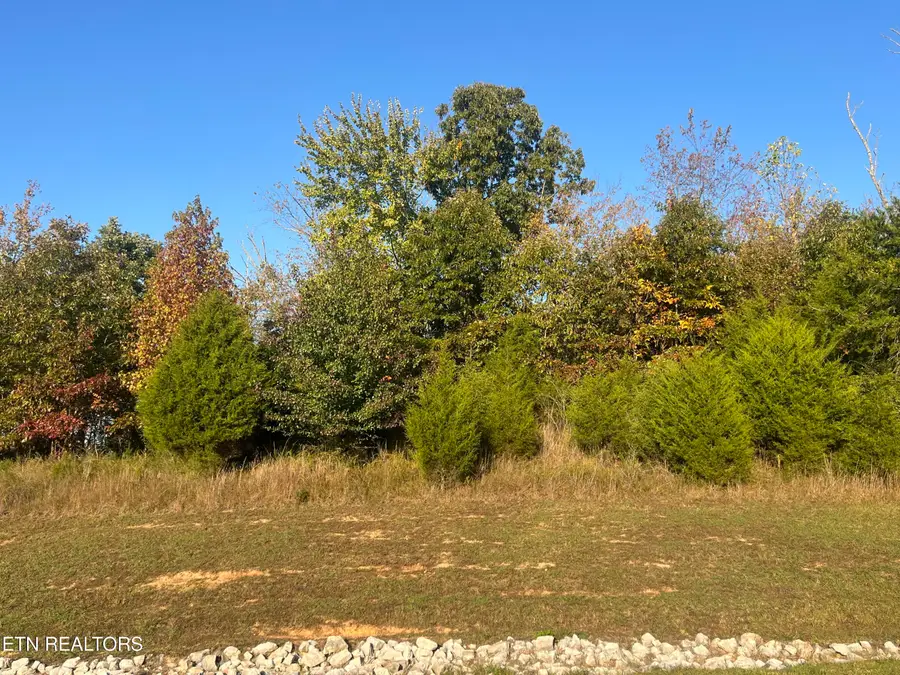 Lot 232 Star Lane, Rockwood, TN 37854 - #2