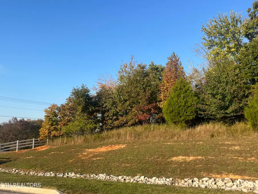 Lot 232 Star Lane, Rockwood, TN 37854 - #3