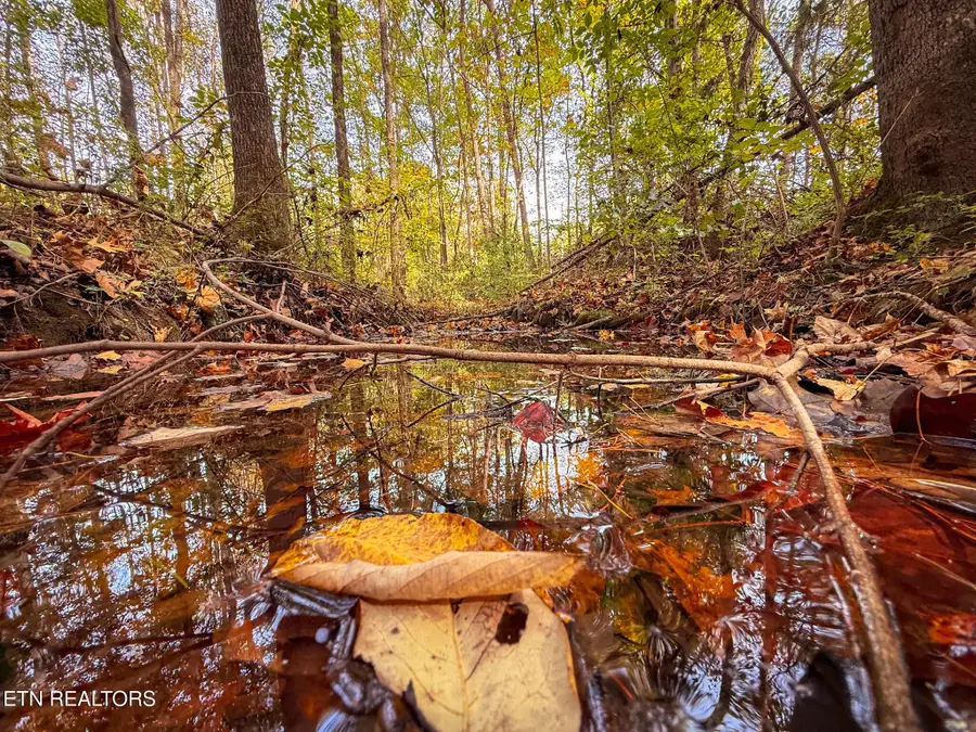 County Road 475, Etowah, TN 37331 - Image #3