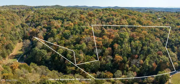 Strong Hollow Lane, Rocky Top, TN 37769