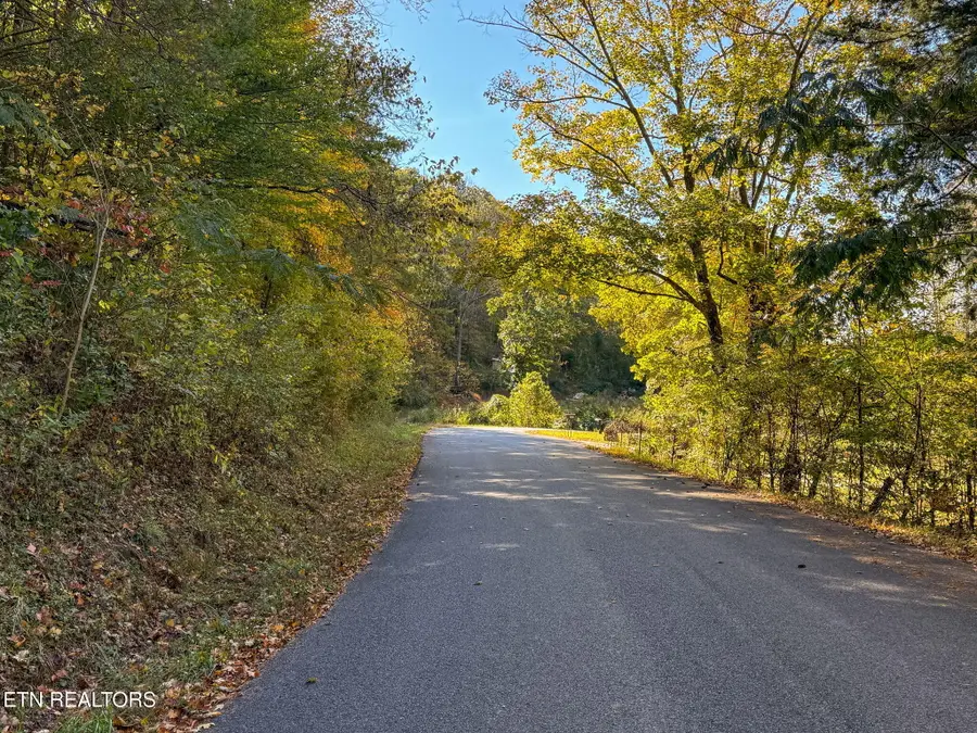 Strong Hollow Lane, Rocky Top, TN 37769 - Image #2