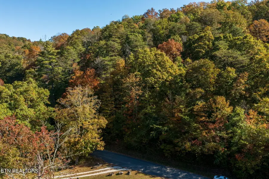 Strong Hollow Lane, Rocky Top, TN 37769 - Image #3