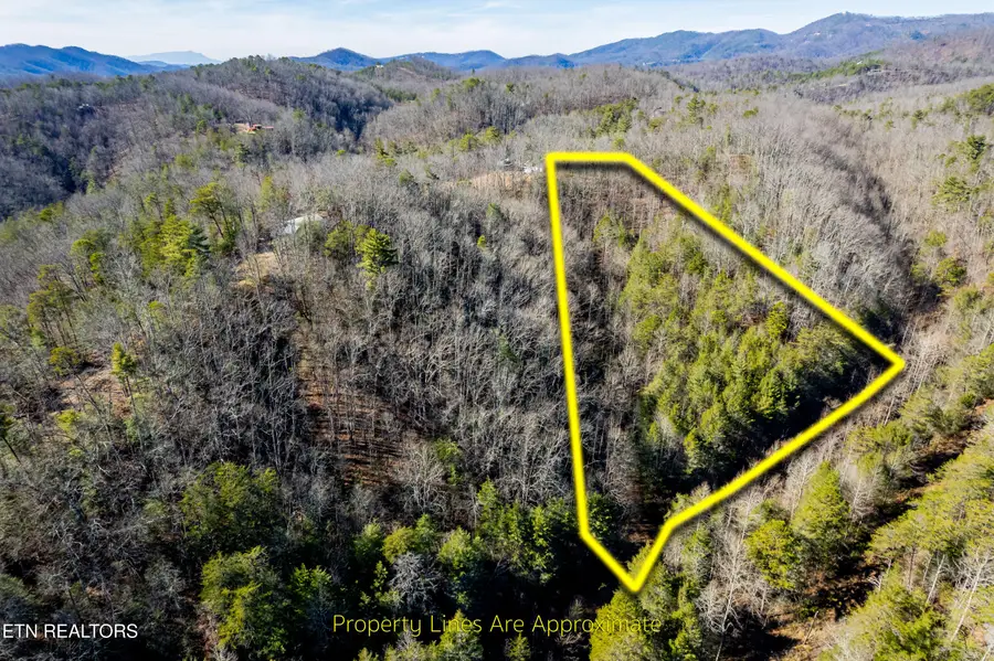 Raymond Way, Cosby, TN 37722 - Image #2