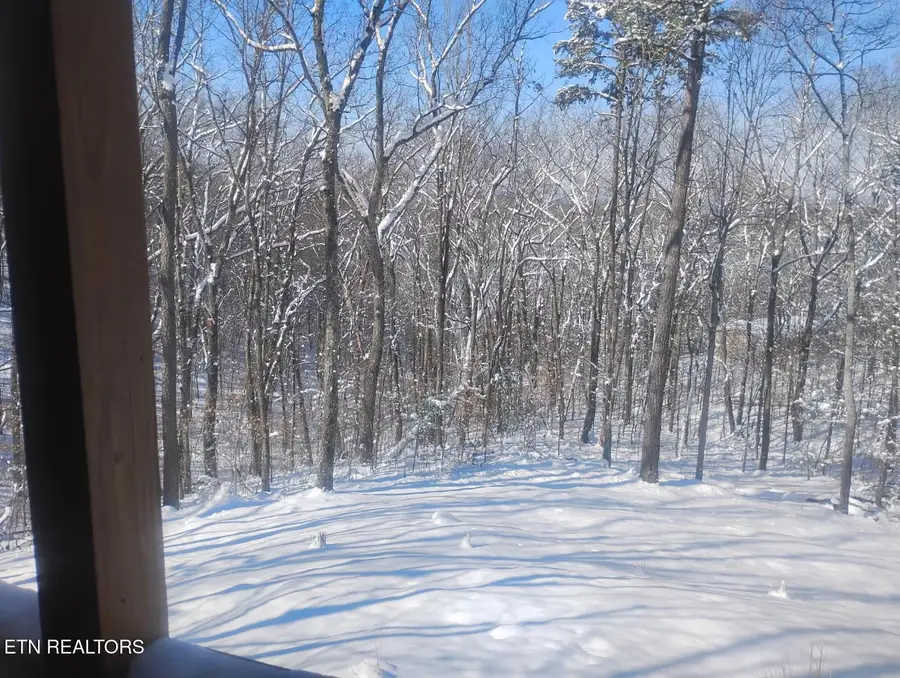 1042 Old Oliver Rd, Walland, TN 37886 - #3