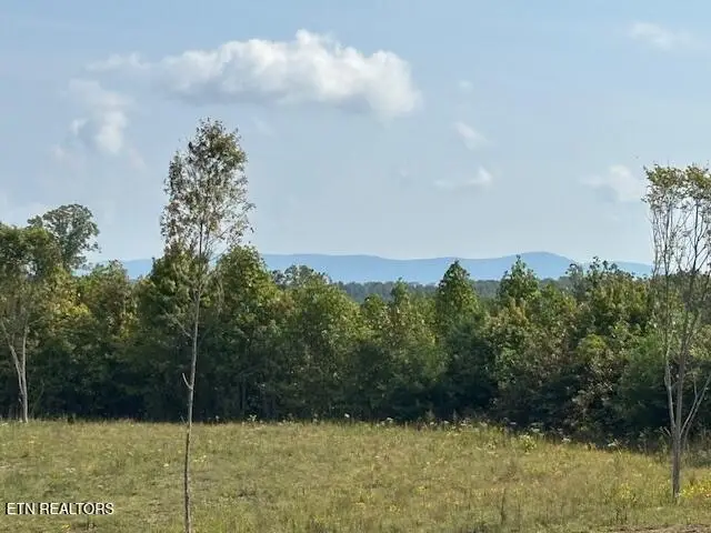 Otis Davis Rd, Pikeville, TN 37367 - Image #2