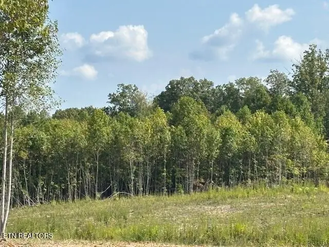 Otis Davis Rd, Pikeville, TN 37367 - Image #3