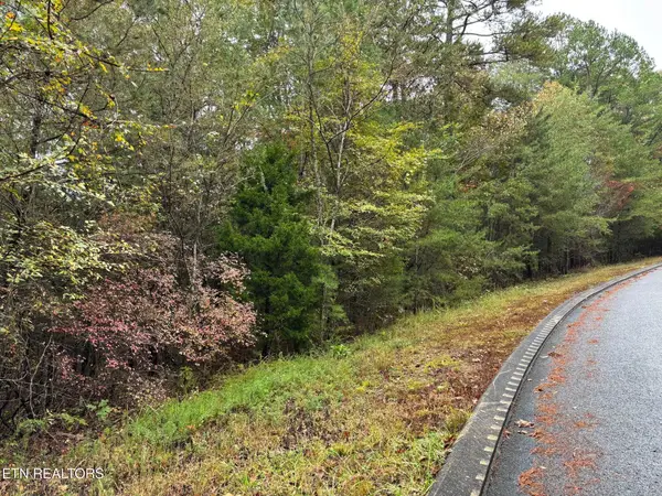 3 Countryside Drive, Dunlap, TN 37327