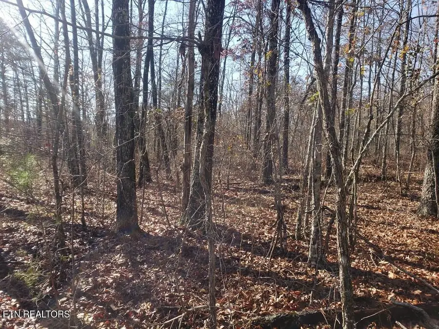 Lot 44 Hemlock Lane, Spencer, TN 38585 - Image #3