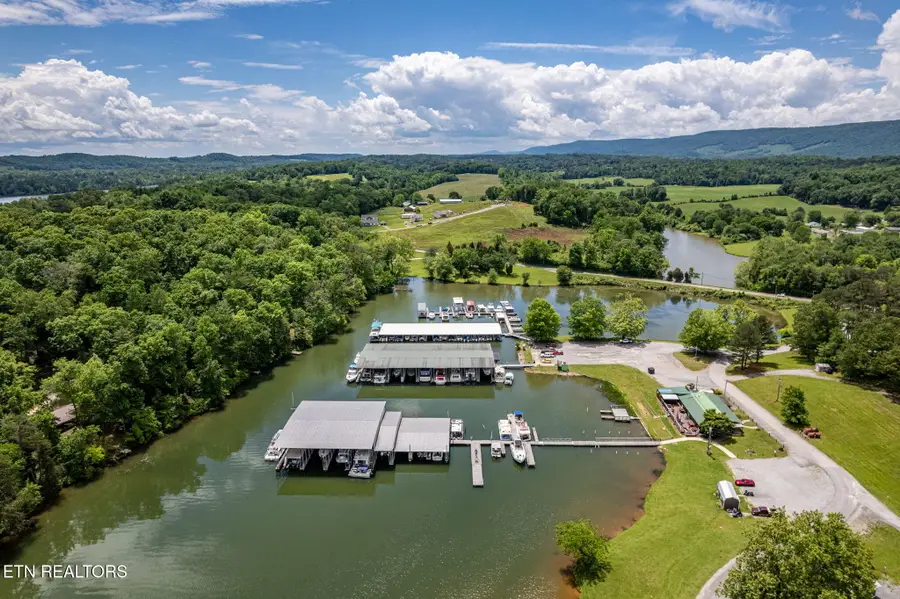 184 Waters Edge Drive, Spring City, TN 37381 - Image #3