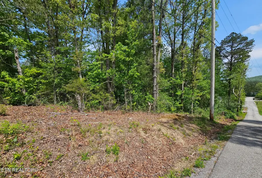 Sutherland Drive, Helenwood, TN 37755 - #2