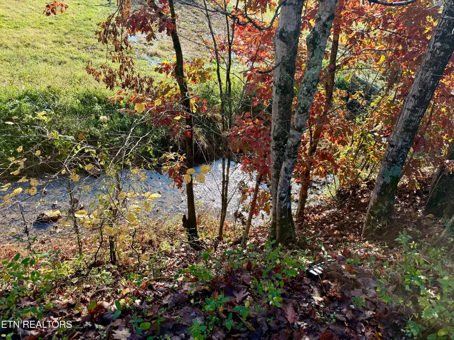 186 Drinnon Lane, Sneedville, TN 37869 - Image #2