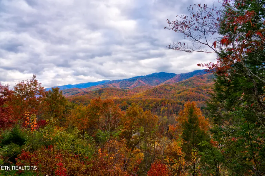 429 Deer Path Lane #103, Gatlinburg, TN 37738 - Image #3