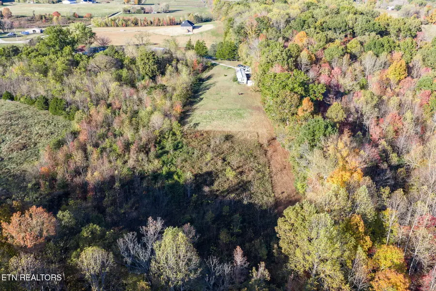 7316 Oak Grove Rd, Monroe, TN 38573 - Image #3