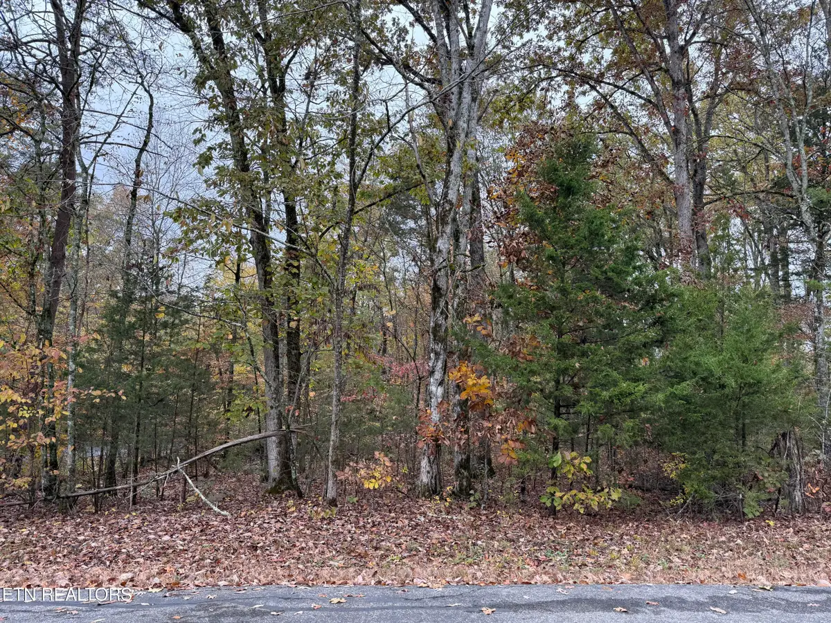 287 Elohi Way, Loudon, TN 37774 - Image #1