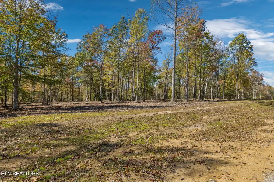 Sheep Ranch Rd., Robbins, TN 37852 - Image #3