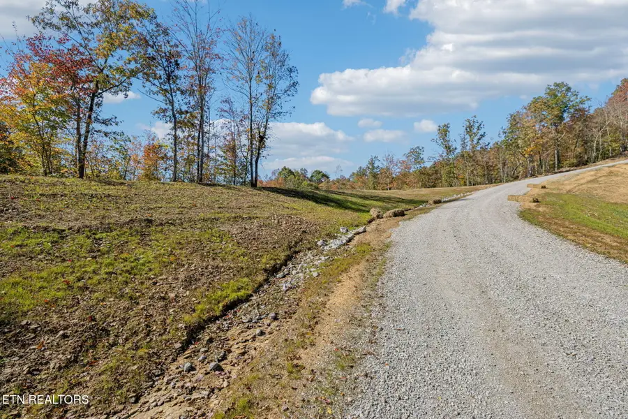 Sheep Ranch Rd., Robbins, TN 37852 - Image #2