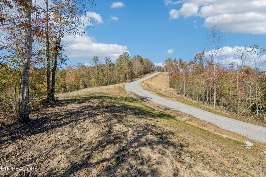 Sheep Ranch Rd., Robbins, TN 37852 - Image #3