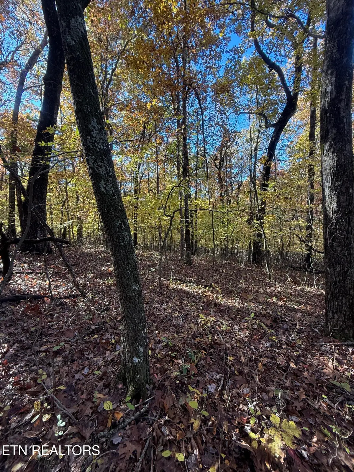 LOT 29 Crest Rd, Monterey, TN 38574 - Image #1