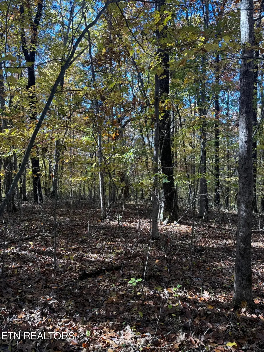 LOT 29 Crest Rd, Monterey, TN 38574 - Image #2