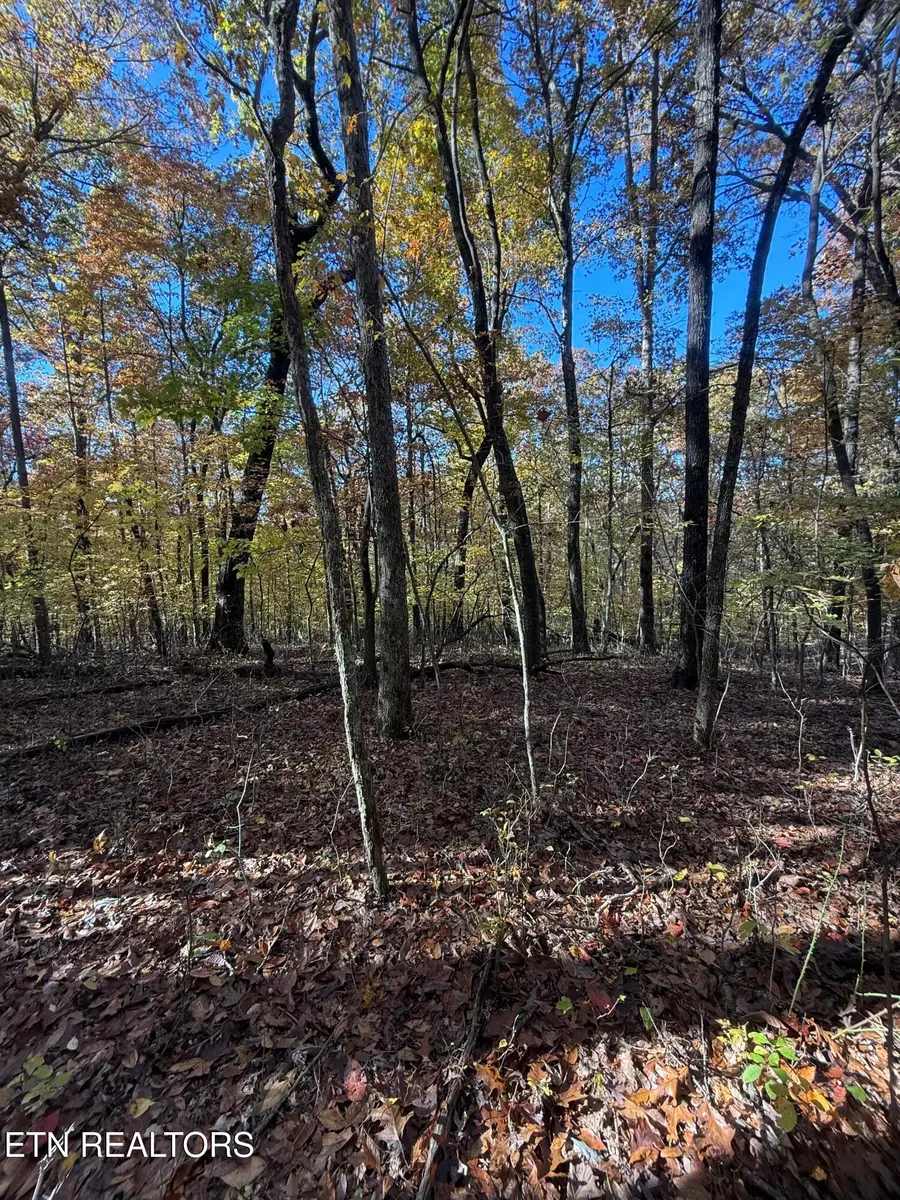 LOT 29 Crest Rd, Monterey, TN 38574 - Image #3