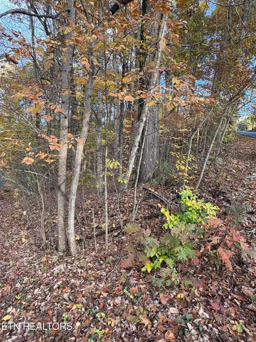 Highpoint Lane, Sevierville, TN 37876 - Image #2