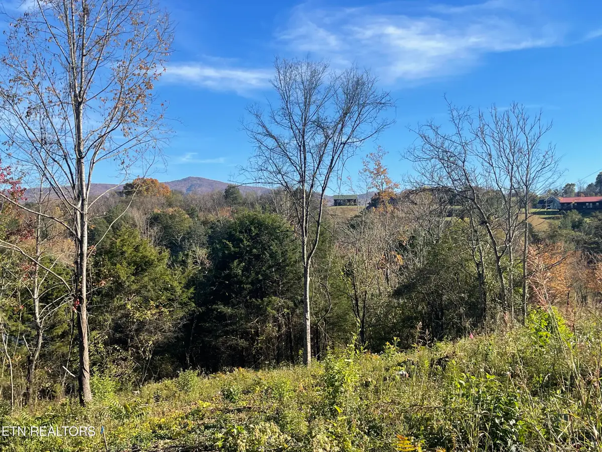 Mountain Ridge, Newport, TN 37821 - Image #1