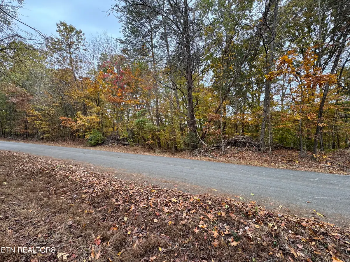 Mountain View Ln Lane, Baneberry, TN 37890 - Image #1